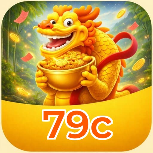 Interface 79c